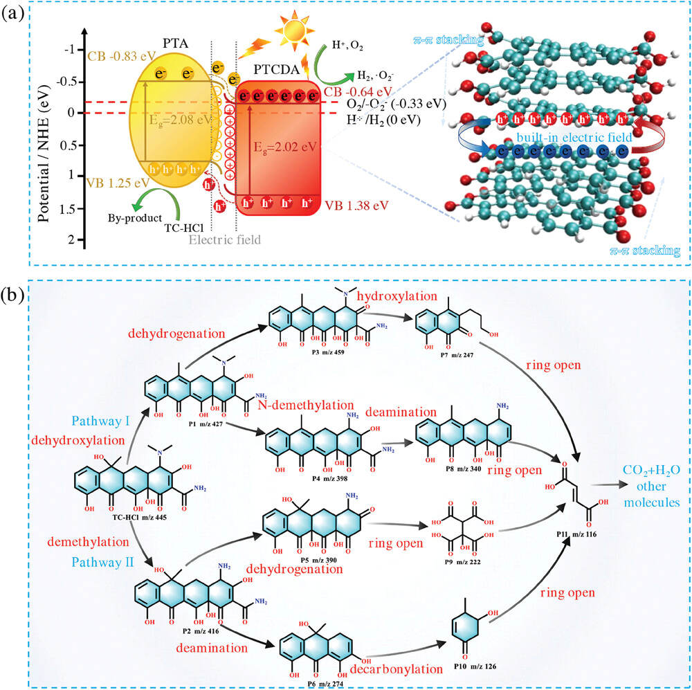 分子偶极子和空间位阻工程调节PTCDA/PTA的电子结构，实现高效光催化产氢和抗生素降解 | 四川大学建环学院楚英豪教授团队 | Adv ...